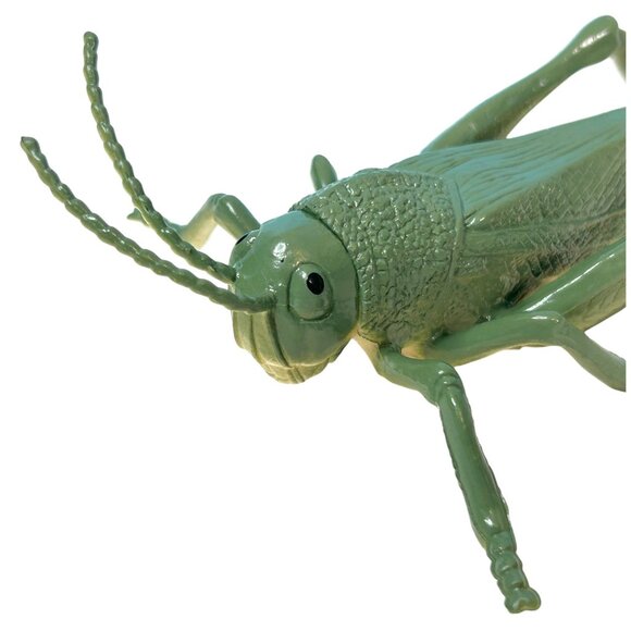 Beautifully Detailed Realistic American Grasshopper Insect Bug PVC Toy Figure‎ - Picture 2 of 6